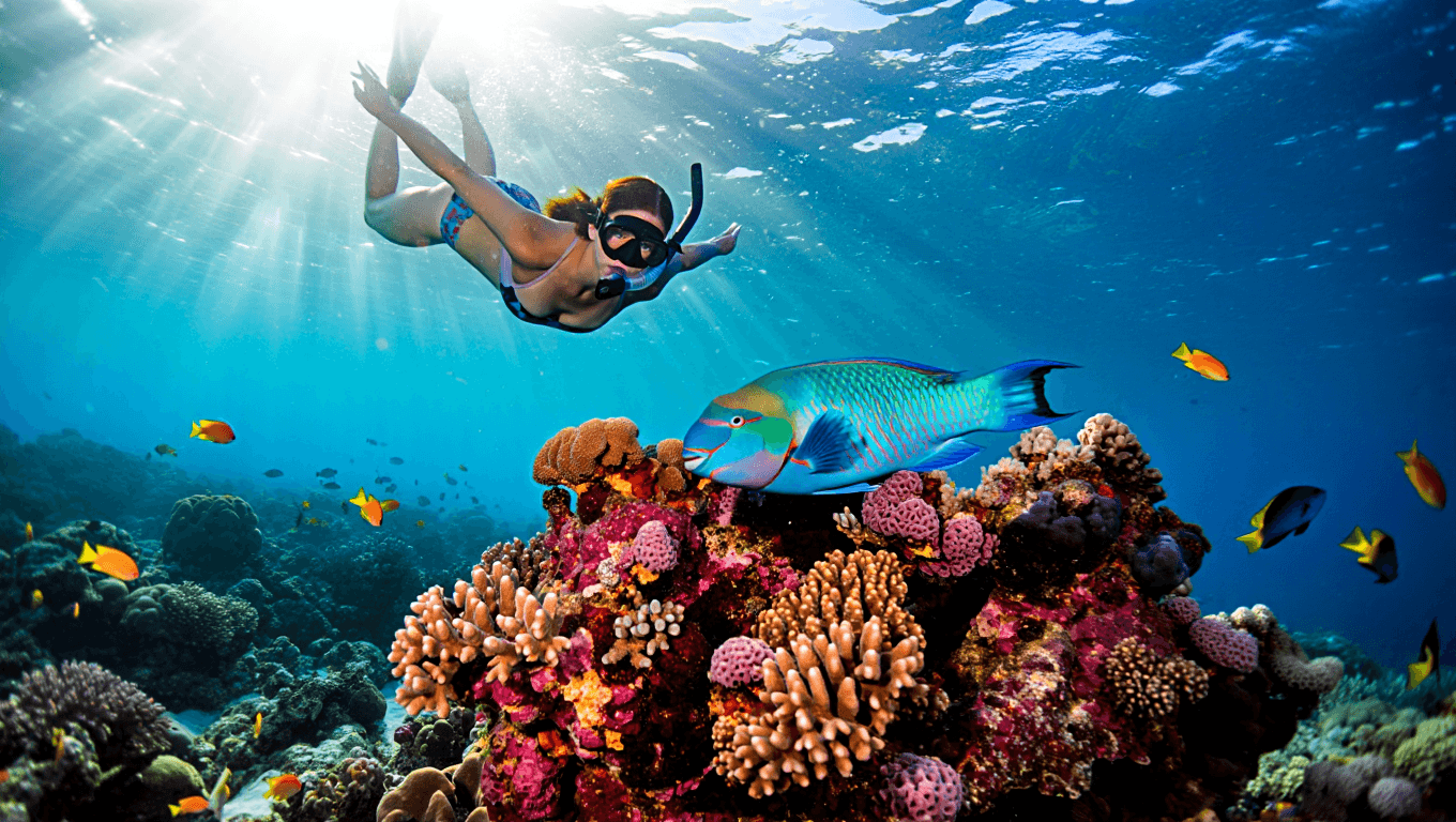 Exploring the Florida Keys responsibly: the best sites for fishing, snorkeling and education